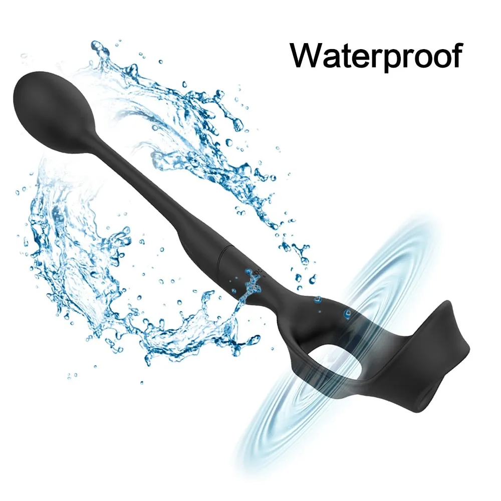 3 in 1 Vibrating Prostate Massager with Cock Ring