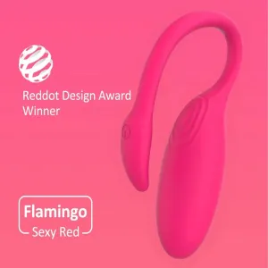 APP Controlled Vibrating Panty Egg - G Spot Vibrator Clit Stimulator Female Sex Toys