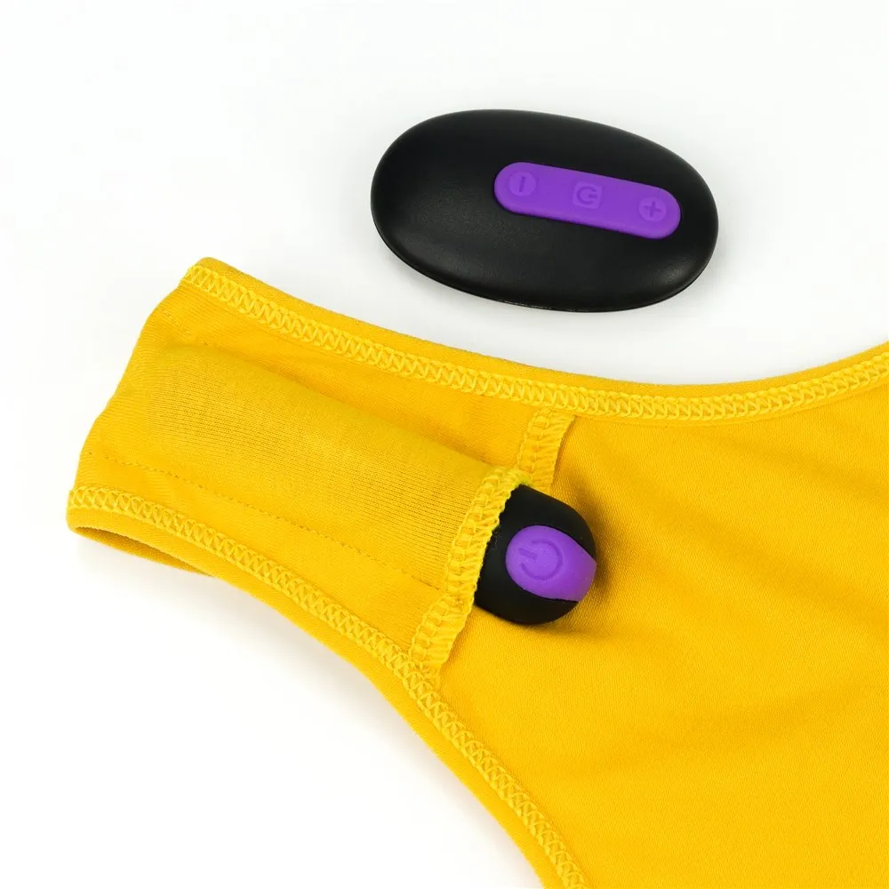 Bitch Remote Controlled Vibrating Panties