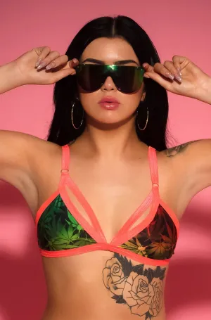 High Life Bralette