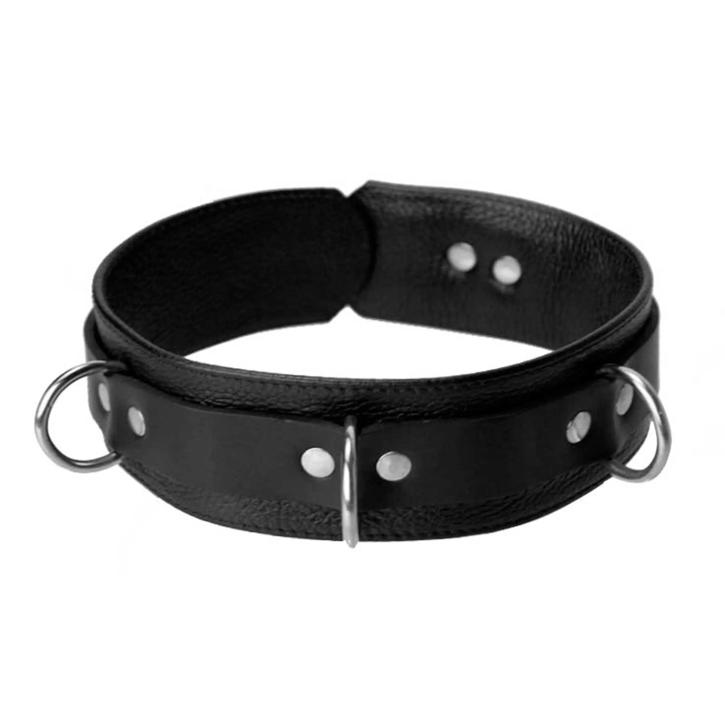 Puppy Leash And Collar Kit