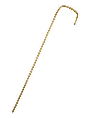 Rouge Bamboo Cane
