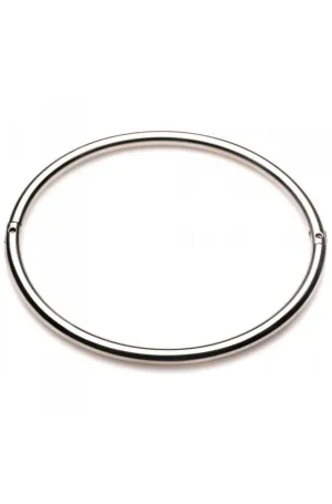 Stainless Steel Possession Collar