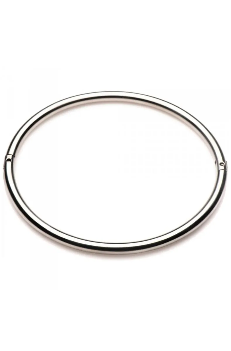 Stainless Steel Possession Collar